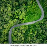 日本片在线观看 upyblsxx